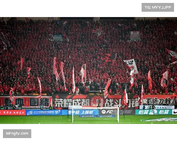 中超外援政策效应评估 亚洲外援市场价值重估