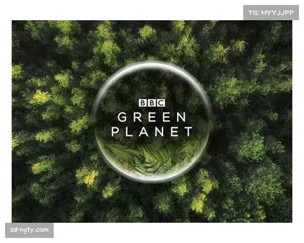 互动纪录片让用户选择探索路径，深度了解背景