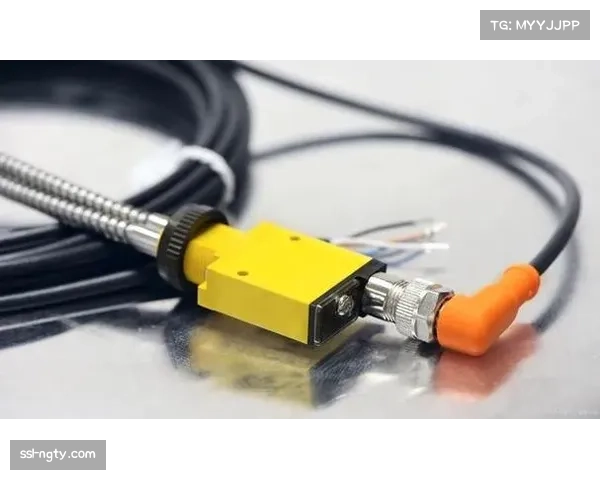 高科技助力:门线技术清晰显示皮球未完全过线,避免误判发生 高科技助力:门线技术清晰显示皮球未完全过线,避免误判发生